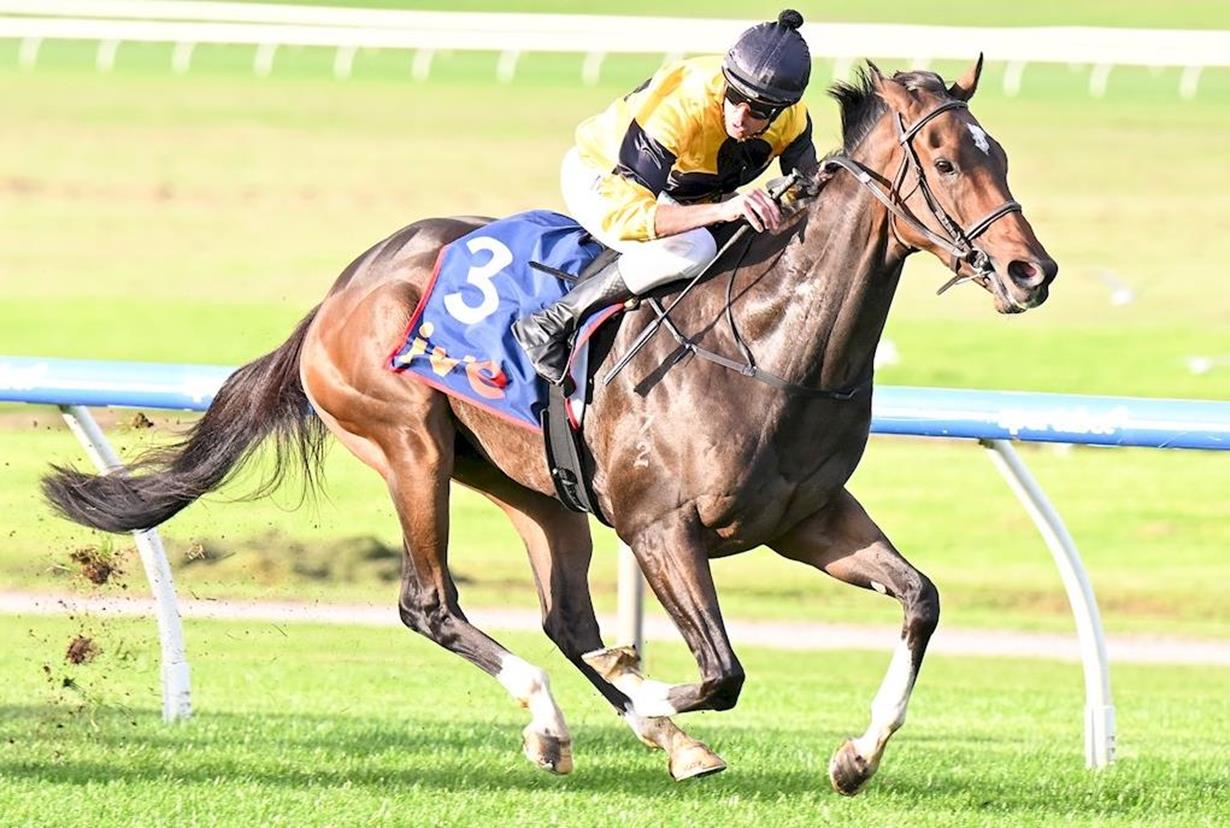 MARKET MISSES CONTINUAL WINNER